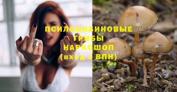spice Аркадак