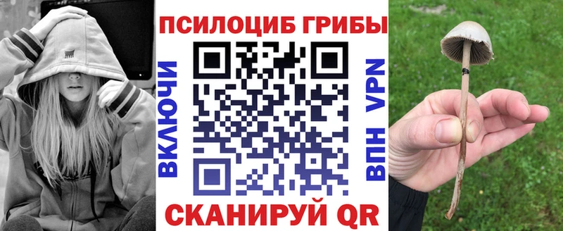 Галлюциногенные грибы Cubensis  Таруса 